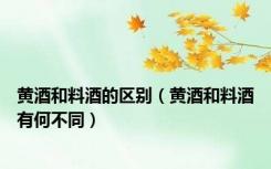 黄酒和料酒的区别（黄酒和料酒有何不同）