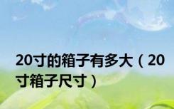 20寸的箱子有多大（20寸箱子尺寸）