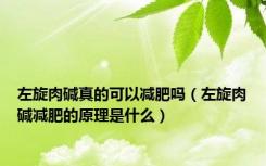 左旋肉碱真的可以减肥吗（左旋肉碱减肥的原理是什么）