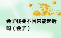 会子钱要不回来能起诉吗（会子）