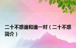 二十不惑谁和谁一对（二十不惑简介）
