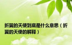 折翼的天使到底是什么意思（折翼的天使的解释）