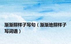 渐渐照样子写句（渐渐地照样子写词语）