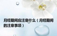 月经期间应注意什么（月经期间的注意事项）