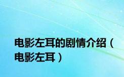 电影左耳的剧情介绍（电影左耳）