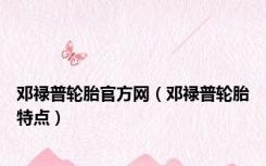 邓禄普轮胎官方网（邓禄普轮胎特点）