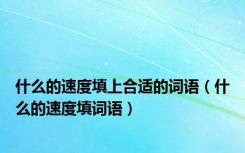 什么的速度填上合适的词语（什么的速度填词语）