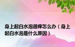 身上起白水泡很痒怎么办（身上起白水泡是什么原因）