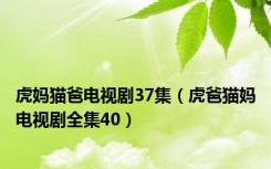 虎妈猫爸电视剧37集（虎爸猫妈电视剧全集40）