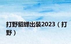 打野貂蝉出装2023（打野）