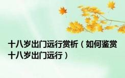 十八岁出门远行赏析（如何鉴赏十八岁出门远行）