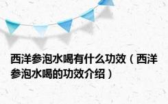 西洋参泡水喝有什么功效（西洋参泡水喝的功效介绍）