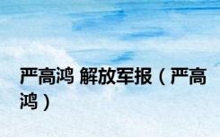 严高鸿 解放军报（严高鸿）