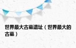 世界最大古墓遗址（世界最大的古墓）