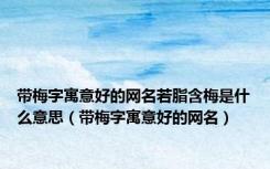 带梅字寓意好的网名若脂含梅是什么意思（带梅字寓意好的网名）