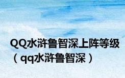 QQ水浒鲁智深上阵等级（qq水浒鲁智深）