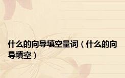 什么的向导填空量词（什么的向导填空）