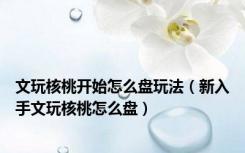 文玩核桃开始怎么盘玩法（新入手文玩核桃怎么盘）