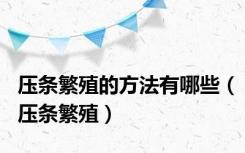 压条繁殖的方法有哪些（压条繁殖）