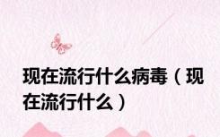 现在流行什么病毒（现在流行什么）