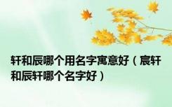 轩和辰哪个用名字寓意好（宸轩和辰轩哪个名字好）