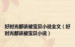 好时光都该被宝贝小说全文（好时光都该被宝贝小说）
