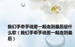 我们手牵手说要一起走到最后是什么歌（我们手牵手说要一起走到最后）