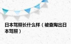 日本驾照长什么样（被查掏出日本驾照）