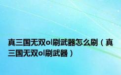 真三国无双ol刷武器怎么刷（真三国无双ol刷武器）