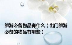 旅游必备物品有什么（出门旅游必备的物品有哪些）