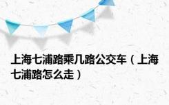 上海七浦路乘几路公交车（上海七浦路怎么走）