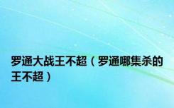 罗通大战王不超（罗通哪集杀的王不超）