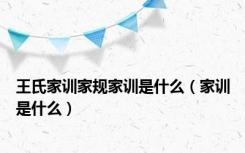 王氏家训家规家训是什么（家训是什么）