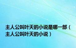 主人公叫叶天的小说是哪一部（主人公叫叶天的小说）