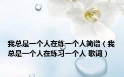 我总是一个人在练一个人简谱（我总是一个人在练习一个人 歌词）