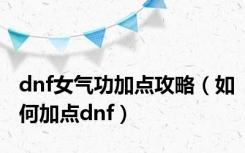 dnf女气功加点攻略（如何加点dnf）