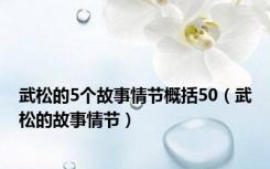 武松的5个故事情节概括50（武松的故事情节）