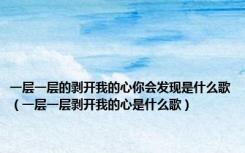 一层一层的剥开我的心你会发现是什么歌（一层一层剥开我的心是什么歌）