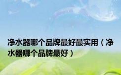 净水器哪个品牌最好最实用（净水器哪个品牌最好）