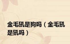 金毛犼是狗吗（金毛犼是犼吗）