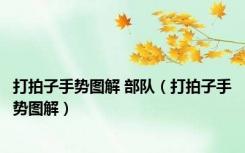 打拍子手势图解 部队（打拍子手势图解）