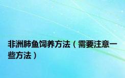 非洲肺鱼饲养方法（需要注意一些方法）