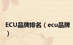ECU品牌排名（ecu品牌）
