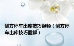 侧方停车出库技巧视频（侧方停车出库技巧图解）