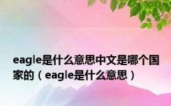 eagle是什么意思中文是哪个国家的（eagle是什么意思）