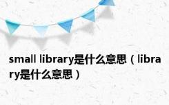 small library是什么意思（library是什么意思）