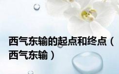 西气东输的起点和终点（西气东输）