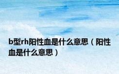 b型rh阳性血是什么意思（阳性血是什么意思）