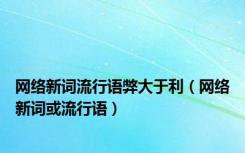 网络新词流行语弊大于利（网络新词或流行语）