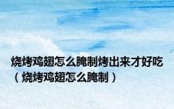 烧烤鸡翅怎么腌制烤出来才好吃（烧烤鸡翅怎么腌制）